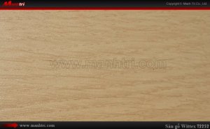 Sàn gỗ công nghiệp Wittex T2252
