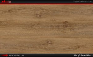 Sàn gỗ công nghiệp Janmi O121