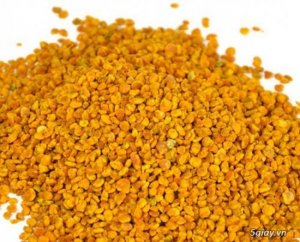 Bán sữa ong chúa gia lai nhà nuôi rừng tây nguyên gia lai