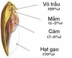 Làn da trắng hồng với Bột Cám Gạo