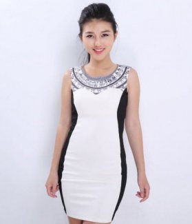 Đầm công sở nữ sang trọng ZID15102