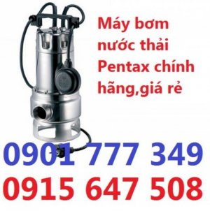 Máy bơm nước Pentax DX 100/2G