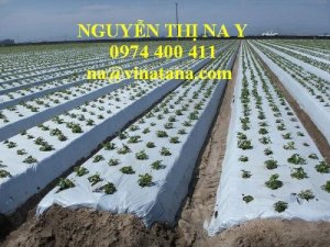 Màng phủ nông nghiệp giá rẻ