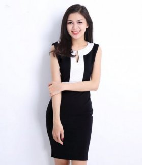 Đầm công sở viền hoa sen độc đáo ZID16101