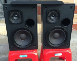 Loa Bose 2000