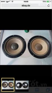 Bộ củ loa Bass Visaton T25NG