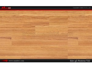 Sàn Gỗ Công Nghiệp Robina T22, dày 12mm, chống trầy | Qui cách: 1283 x 193 x 12 mm | Xuất xứ: Malaysia chính hãng - Chống trầy: AC4 | Ứng dụng: Thi công lắp đặt làm sàn gỗ nội thất trong nhà, phòng khách, phòng ngủ, phòng ăn, showroom, trung tâm thương mại, shopping, sàn thi đấu. Giá bán: 419.000VND