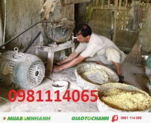 Máy nghiền bột ngô máy xay xát lúa gạo uy tín giá rẻ