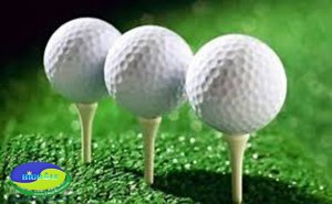 Bóng Golf chuyên nghiệp