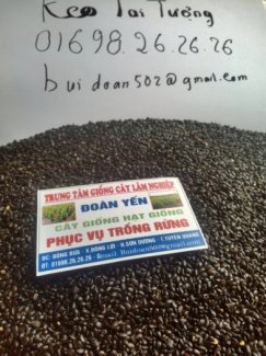 Mỡ cây giống lâm nghiệp
