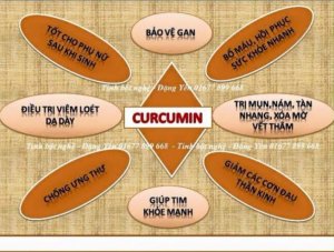 Tinh bột nghệ nguyên chất - Bột trà xanh nguyên chất