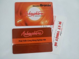 In thẻ nhựa có các loại gia công cơ bản sau đây: Cán màng, bo góc, dán dải mã - dải từ mặt sau thẻ, mạ thẻ, dập nổi, đục lỗ, kéo thẻ từ - nhảy số