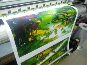 In tranh canvas trang trí nội thất nhà, in tranh treo tường giá rẻ có thể bằng mực nước hoặc mực dầu, tuỳ vào mục đích sử dụng mà bạn lựa chọn loại mực in. Cụ thể, nếu bạn muốn trưng bày trong nhà thì dùng mực nước, ngược lại ở ngoài trời thì dùng mực dầu.