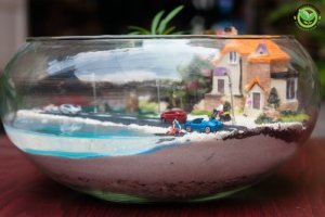 Terrarium Nhà Vip đẹp và độc