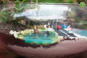 Terrarium Nhà Vip đẹp và độc