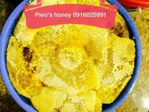 Mật ong rừng nguyên sáp Mù Cang Chải (Yên Bái)