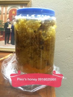 Mật ong rừng nguyên sáp Mù Cang Chải (Yên Bái)