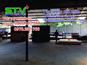 ván cốp pha phủ phim