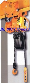 Pa lăng xích điện Deasan Hàn Quốc 1 tấn, 2 tấn, 3 tấn, 5 tấn