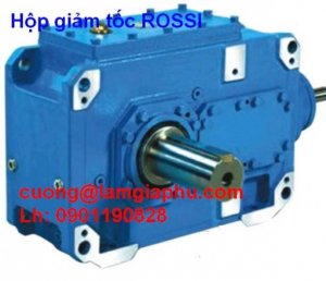 Rossi tại Việt Nam , đại lý cung cấp chính Lâm Gia Phú