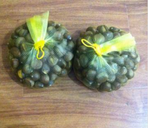 Hạt Dẻ kinh Bắc, Trùng Khánh