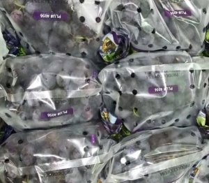 Bán Nho Mỹ