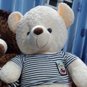 Gau teddy Trang - Gau bong 1m4 - Gau teddy Javin