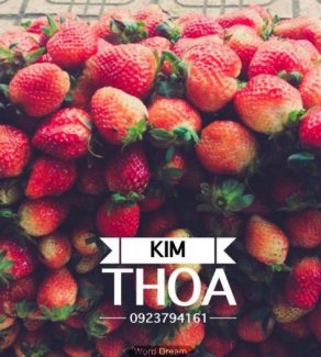 Dâu tây chính gốc Đà Lạt