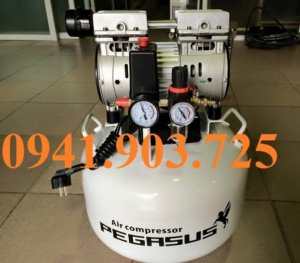 Máy nén khí không dầu, giảm âm pegasus tm- of750- 50l