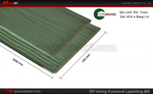 Ốp tường CONWOOD Lapsiding BG