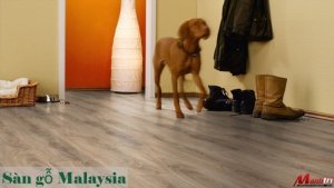 Sàn gỗ Malaysia giá rẻ