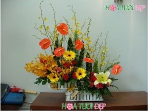 Hoa được chăm sóc định kỳ để đảm bảo tươi cả tuần