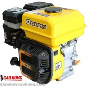 Máy nổ OSHIMA GOLD OSG160 5.5HP (made in Thailand)