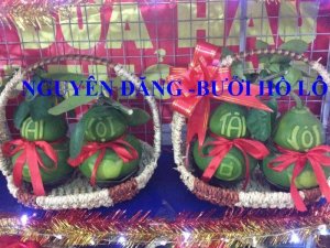 Bán bưởi hồ lô giá rẻ