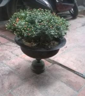 Chậu hoa đồng cổ
