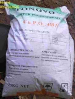 Bán Đồng Pyrophosphate-Cu2P2O7