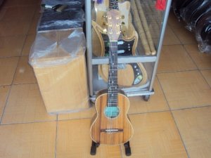 Bán guitar ukulele giá rẻ