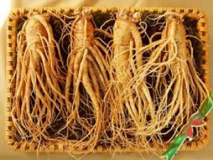 Sản phẩm Linh chi- Nhân Sâm- đông trùng hạ thảo- Thực phẩm chức năng Hàn Quốc