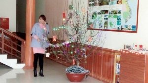 Khách sạn vui vẻ đón TẾT mới mẻ - Giá Rẻ ngày Tết 2016!