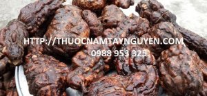 Bán hà thủ ô đỏ giá rẻ