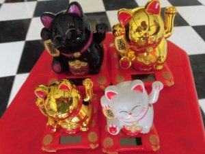 Mèo gọi tài