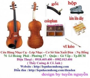 Chỗ Bán Đàn Violin Giá Rẻ Tại Tphcm