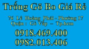 Bán Trống Gõ Bo Chơi Nhạc Chế Bằng Inox Giá Rẻ Tại Tphcm