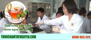 Hoa atiso đã được nghiên cứu và cung cấp một số dạng trà túi lọc, cao mềm dể sữ dụng hơn.