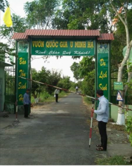 Mật rừng ong nguyên chất 100%