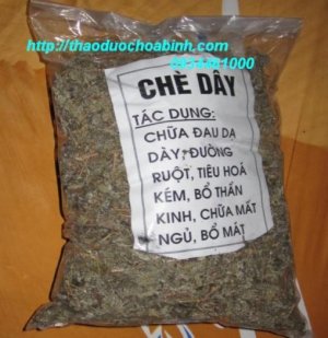 Bán cây khôi nhung,chè dây