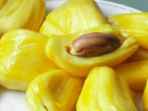 Mít nhà trồng ngon giá rẻ