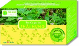 Trà cà gai leo mát gan, thải độc
