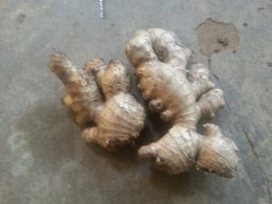 Yêu cầu chỉnh sửa thông tin Cung cấp giống gừng