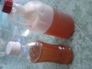 Mật Ong Hoa Cà Phê Đắk Lắk Nguyên Chất